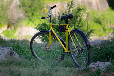 自然界中的黄色自行车图片