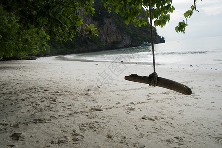 树下挂在热带岛屿海滩上海面和绿色山地背景的树木下的图片