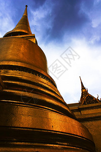 泰国寺庙中的金塔图片