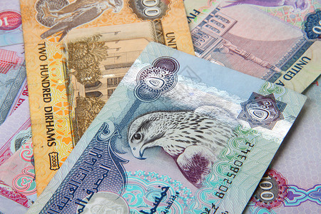 UAE货币500dirham图片