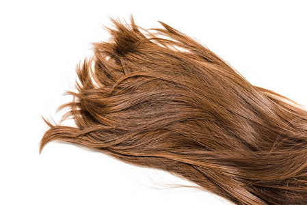 长的棕色女头发被白色隔离的裁剪视图图片