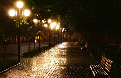 夜雨过后在公园的巷子里图片