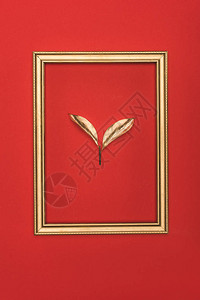 金色照片框和红色隔离植背景图片