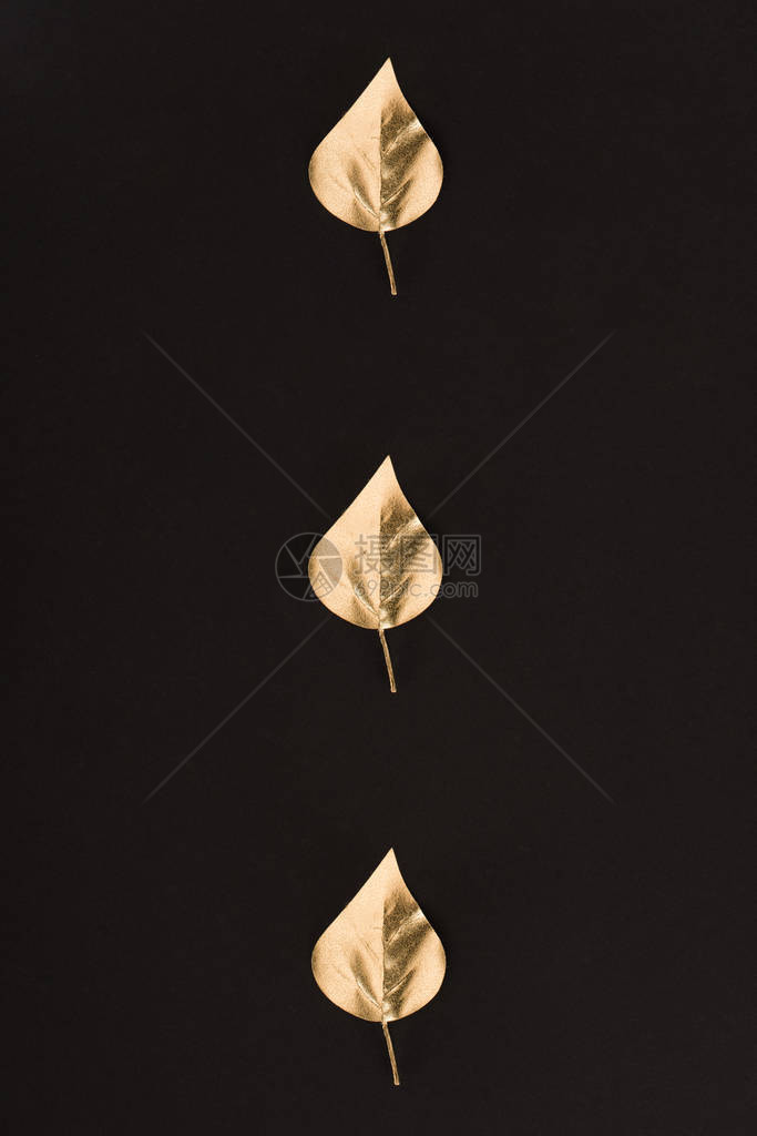 金色叶子的特写视图图片