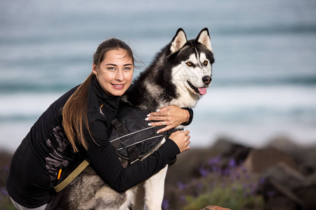 爱玩运动的女人拥抱美丽的纯种哈斯基狗在图片