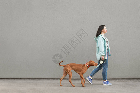 背景是灰色的宠物与主人和广告的空白间带着狗逛图片素材
