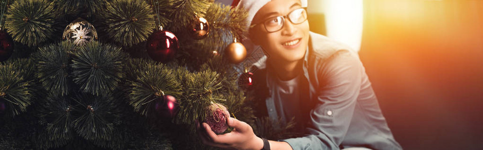 穿着圣诞树装饰的圣帽子和眼镜眼神远奔而来的美丽英俊的图片