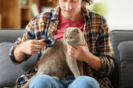 在家刷可爱逗猫的男人图片