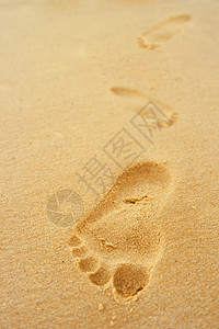 脚步在沙中图片