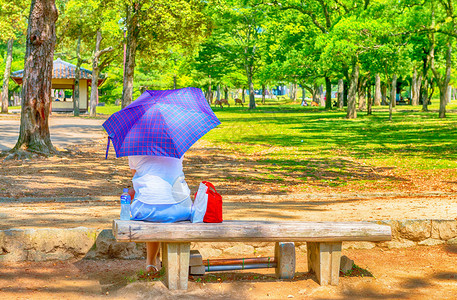 用水瓶和太阳雨伞坐在公园图片