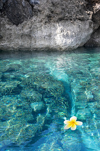 菲律宾的热带珊瑚礁景观图片