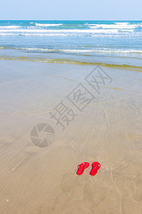 热带沙滩上的红翻流浮图片