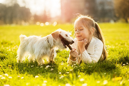 小女孩在公园里和她的小狗玩耍图片