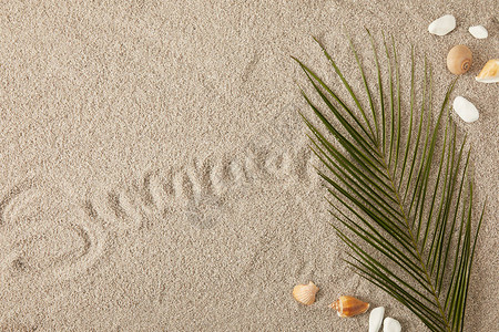 绿色棕榈叶贝壳和沙子上的夏季铭文的顶视图背景图片