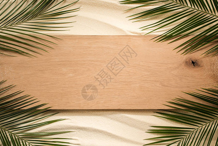 棕榈叶和沙地表面木图片