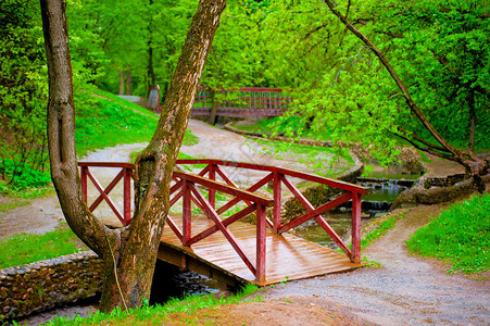小溪对面绿叶公园的木桥图片