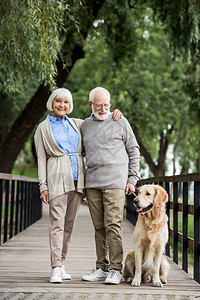 快乐的老年情侣在公园与友善狗一图片
