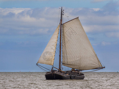 传统荷兰棕褐色船队在瓦登海图片