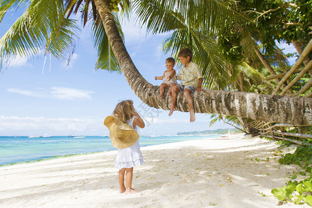 三个孩子男孩和女孩坐在热带海滩背图片