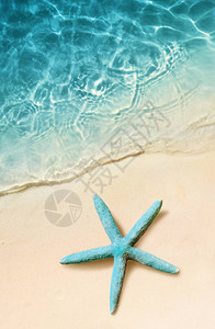 在沙滩和海洋的海星作为背景夏季海滩图片