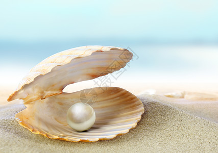 一个内有珍珠的大海贝壳高清图片