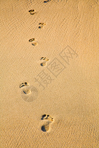 沙子中人类脚印的图像图片