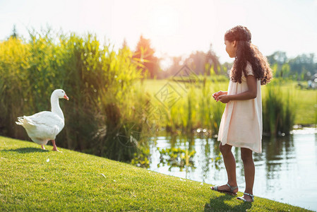 小非洲女孩在湖边吃鹅在公图片