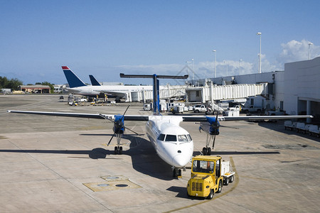 几架飞机停在机场航站楼附近图片
