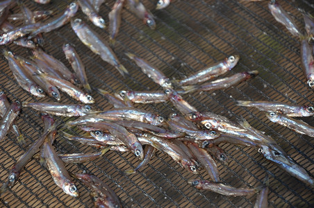 赞比亚的干虾Ka图片