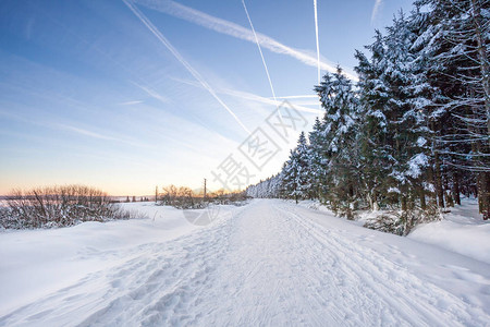 比利时hautesFagnes的冬季日落图片