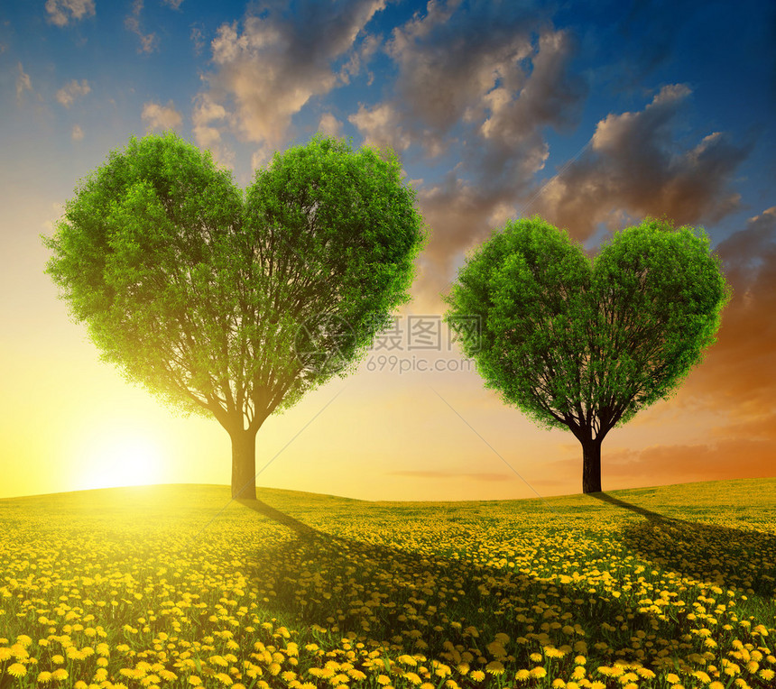 日落时有树木以心形呈现的丹德利翁图片