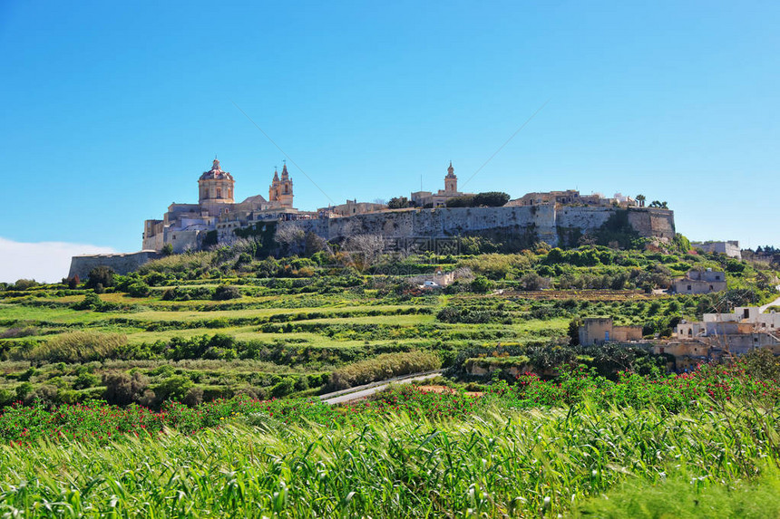 马耳他岛圣保罗大教堂Mdina与圣保罗图片