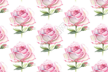 无缝图案与粉红色水彩玫瑰手绘插图图片