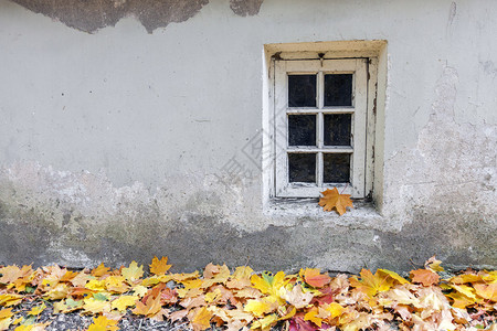 秋天古老的风景窗口地面上满背景图片