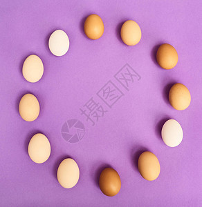 紫色背景的鸡蛋圆的图片