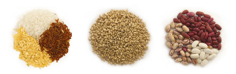 圆圈中的小麦大米和豆类在图片