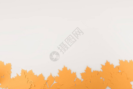 秋天叶子的边框架在白色上被隔离背景图片