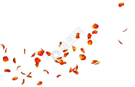 空中飞翔的橙色玫瑰花瓣图片