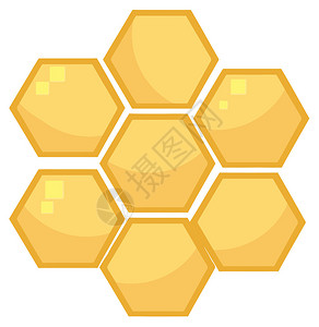 蜂巢中的蜂图片