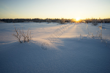 冬天的风景阳光明媚的白雪皑的森林图片