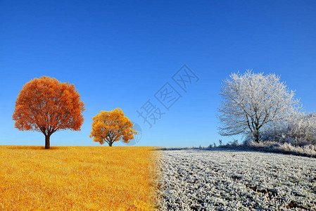秋天和冬日风景天空是蓝色的变图片