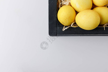 白色隔开的木箱中黄漆东面鸡图片