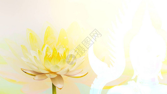 金与粉红莲花的形象双重曝光图片