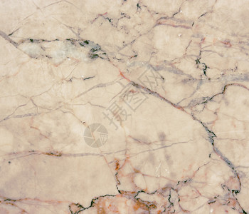 贝格大理石底与自然形态无缝背景图片