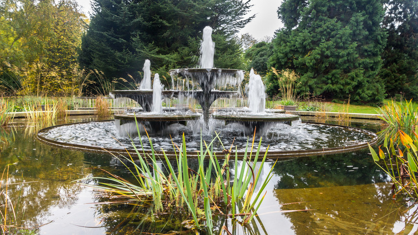 英国桥植物园古老历史喷泉源图片