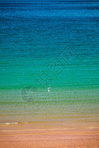 纽夸海岸空海滩夏季下午下午图片