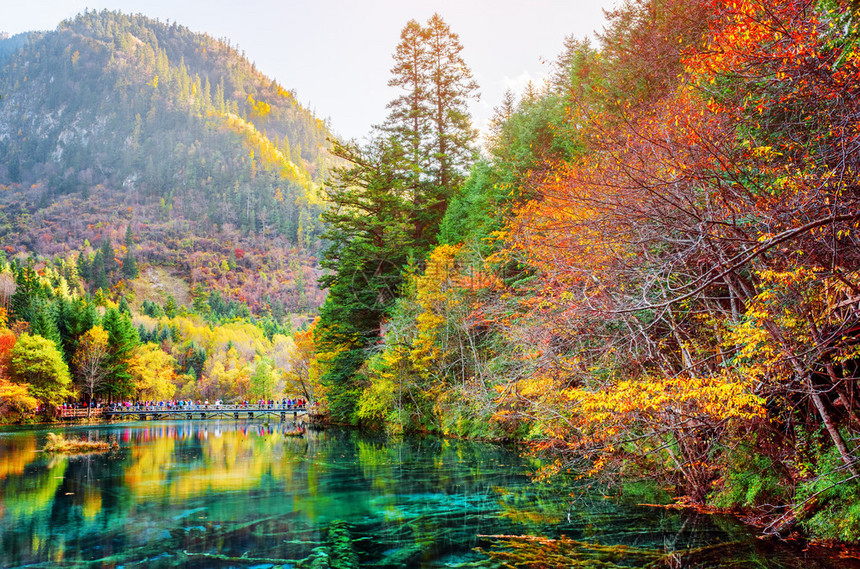 五花湖五彩湖在五颜六色的秋天森林和树木繁茂的山脉之间的惊人景色在九寨沟自然保护区图片