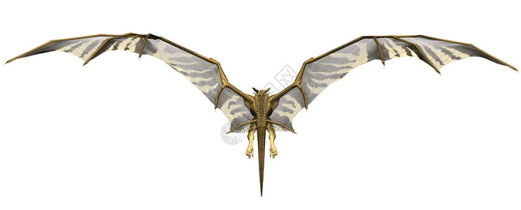3d渲染黄色龙与黑色翅膀背景图片