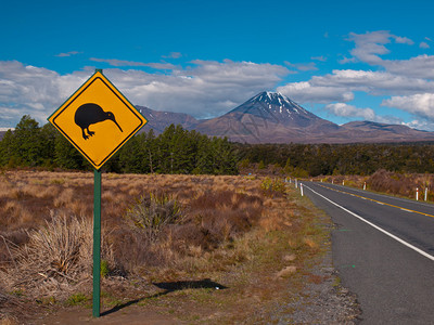 Kiwi警告标志图片