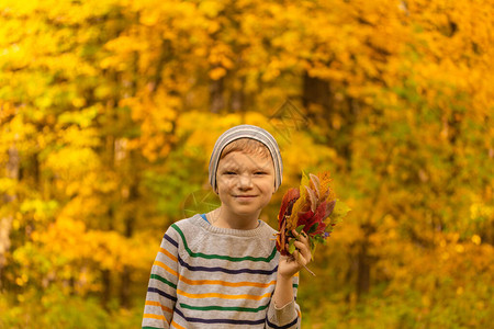 秋季公园一个快乐男孩的秋天肖像图片